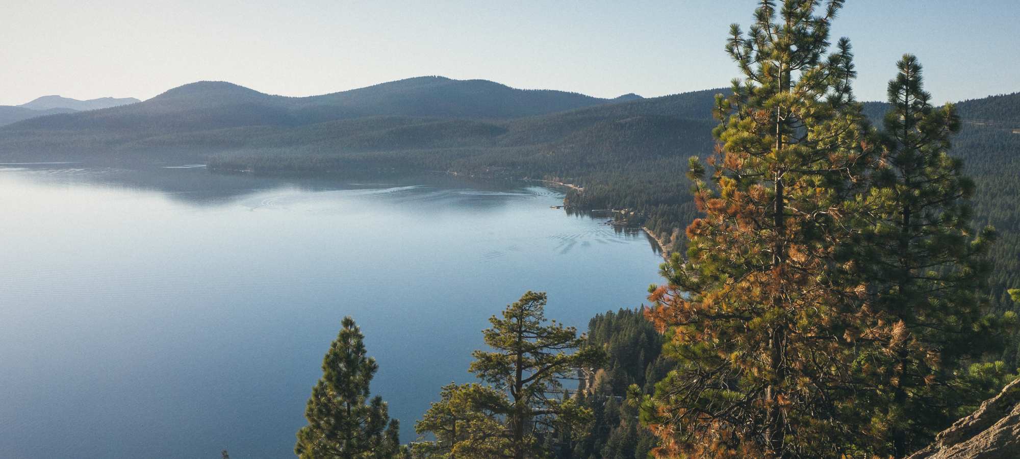 Lake Tahoe's calm blue water and forested shore from a fire lookout, pines in the foreground.