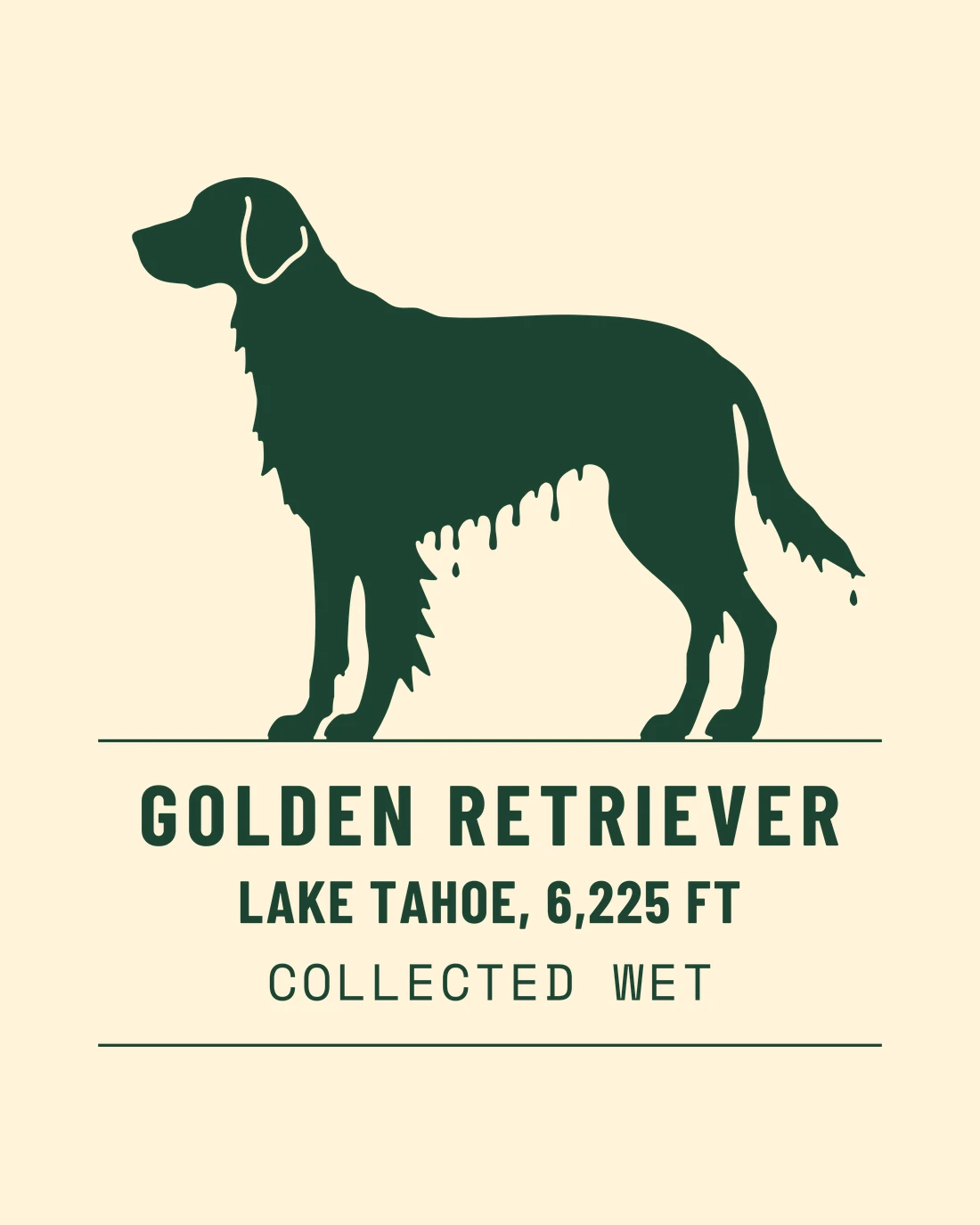 Collected Wet: a wet retriever in profile over a specimen label reading Golden Retriever, Lake Tahoe 6,225 ft, Collected Wet