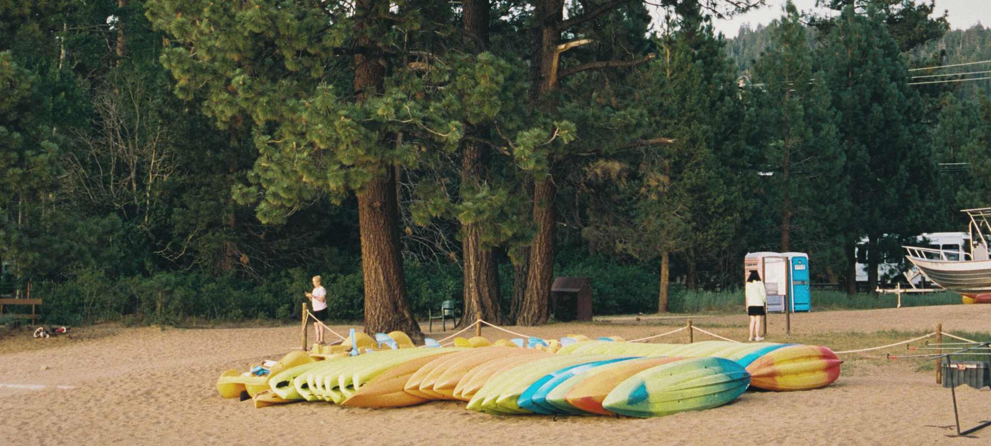 Rental kayaks lined up on the sand under tall pines, on a Lake Tahoe beach.