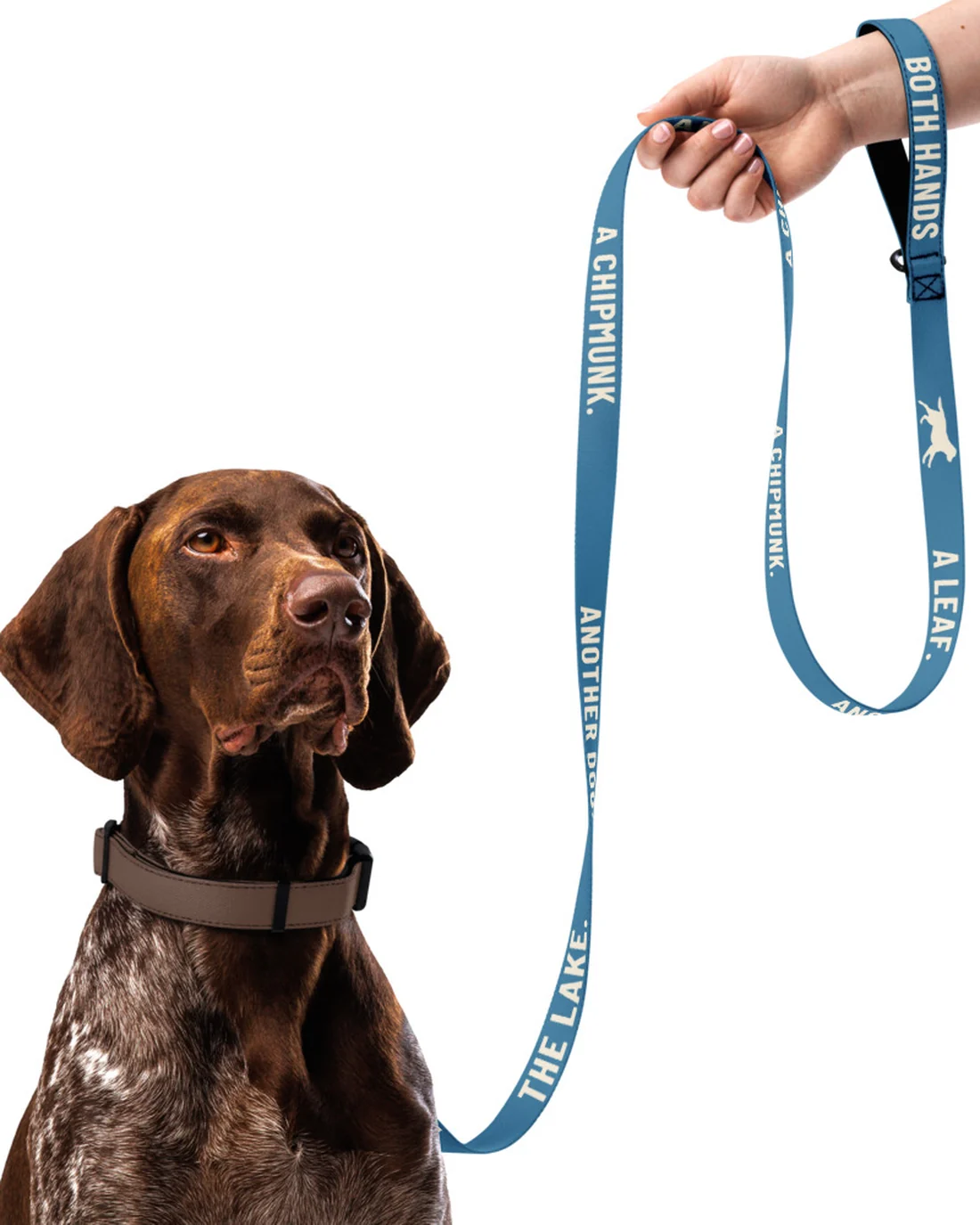 The Both Hands design on a leash, held in a hand above a dog.
