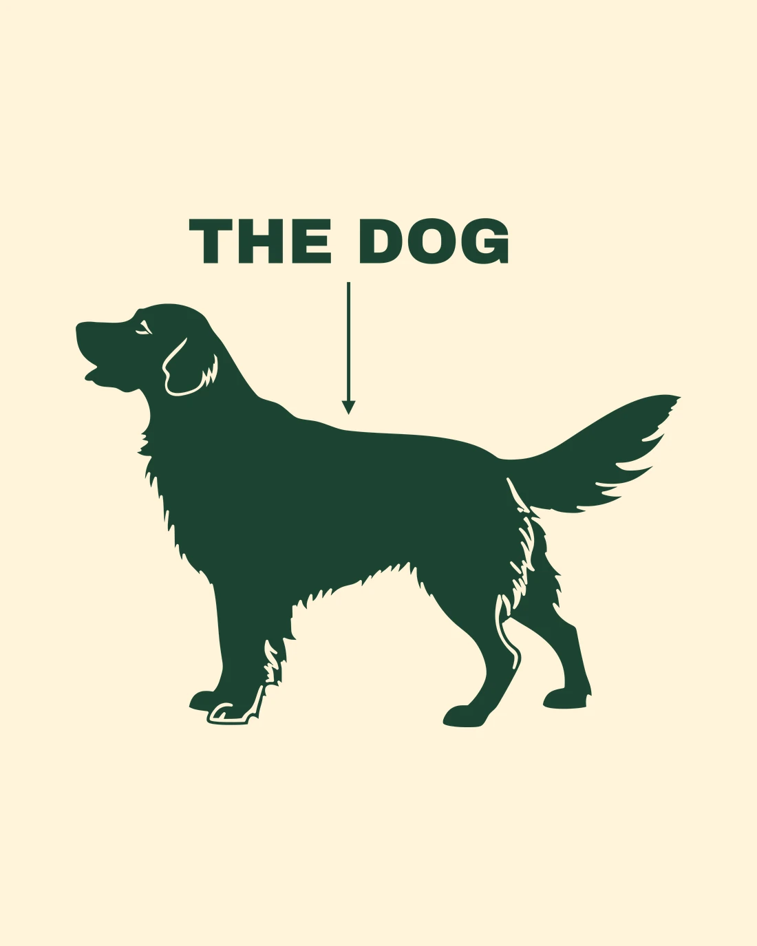The Dog: the words THE DOG over an arrow pointing down at a solid pine retriever