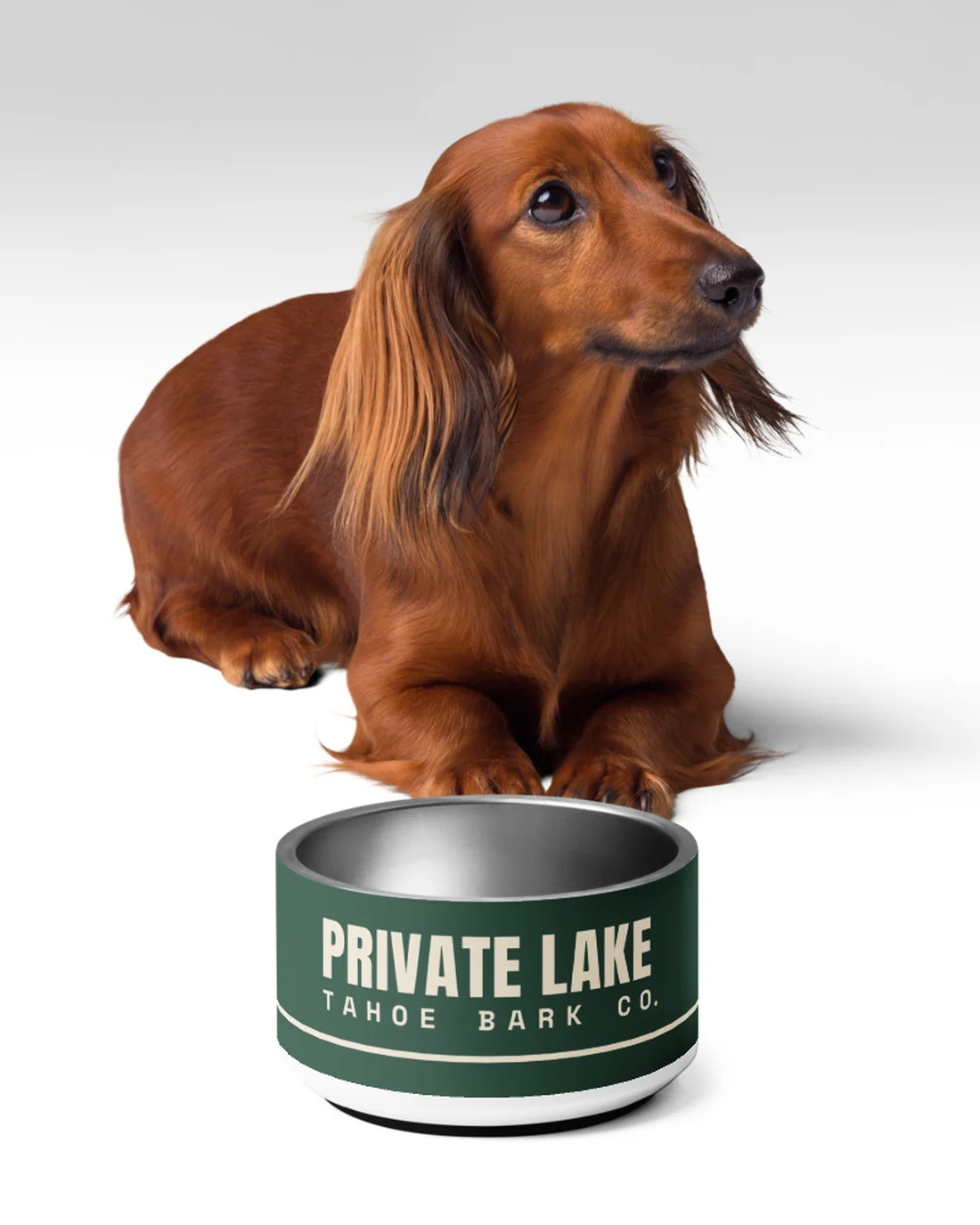 The Private Lake design on a dog bowl, in front of a long-haired dachshund.