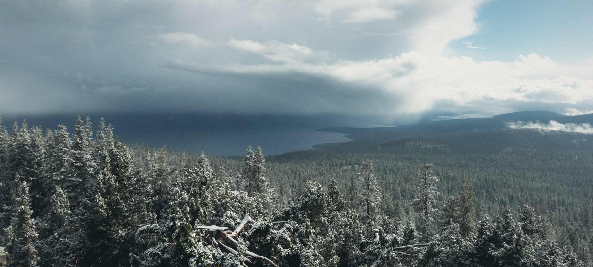 Fresh snow on a pine forest under a clearing storm, a lake below.