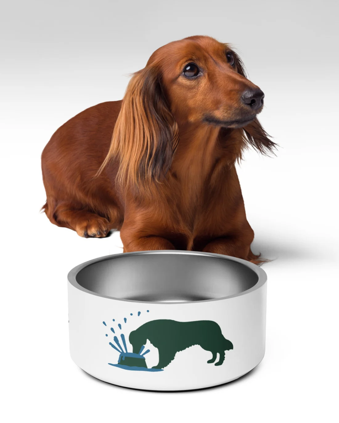 The Guaranteed to Spill design on a dog bowl, in front of a long-haired dachshund.